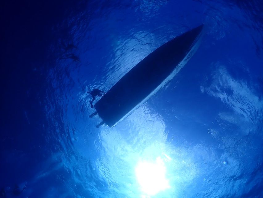 2 Tank Morning Cozumel Dives for Certified Divers - Inclusions