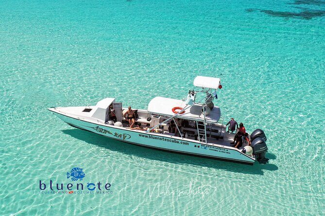 2 Tank Morning Dive: Scuba Diving in Cozumel - Key Points