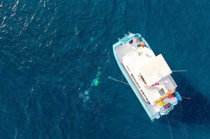 2 Tank Natural Reef & Wreck Dive Tour off Wai'anae - The Sum Up: A Well-Rounded Hawaiian Underwater Adventure