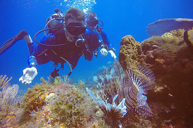 2 Tanks Scuba Diving in Punta Cancun Reefs for Certified Divers - Meeting Point