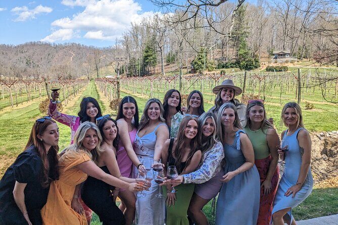 2 Vineyard Wine Tour of Western NC - What Could Be Improved