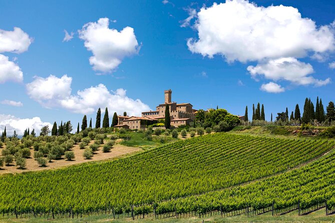 2 Wineries Chianti Wine Tasting & Vineyards Walk Private Tour - Strolling Through Picturesque Chianti Vineyards