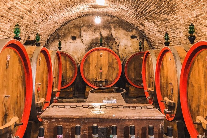 2 Wineries Chianti Wine Tasting & Vineyards Walk Private Tour - Private Guide and Personalized Experience