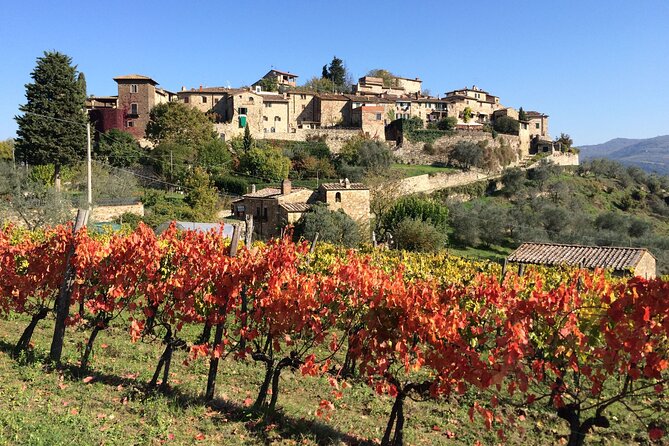 2 Wineries Chianti Wine Tasting & Vineyards Walk Private Tour - Tour Highlights and Inclusions