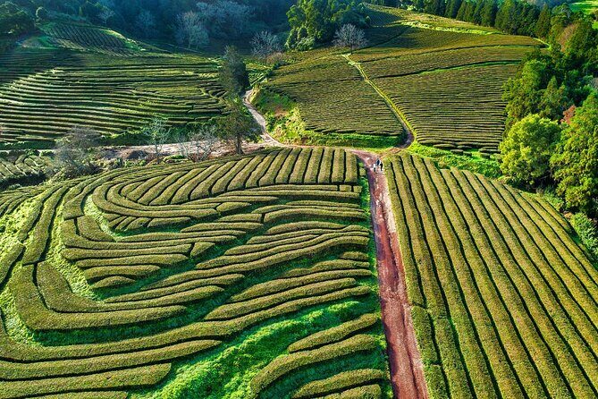 2 x Day Tour pack with lunch included (Furnas + Sete Cidades + Fogo + Nordeste) - Final Words