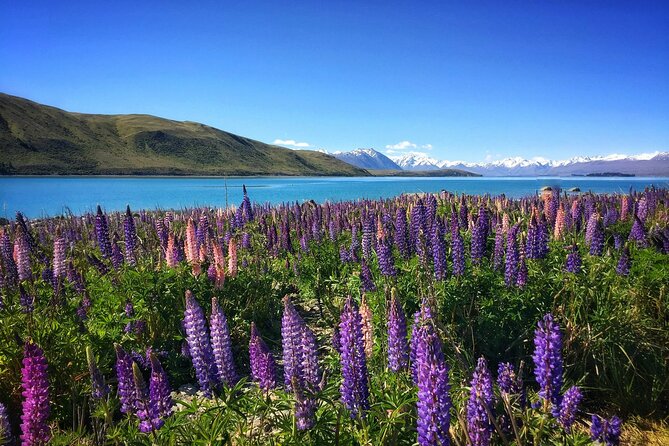 20 Day Legendary New Zealand Tour - Booking Information
