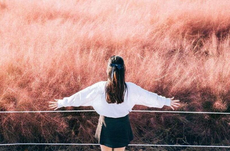 2025 Jeju Autumn Tour with Pink Muhly Festival - An In-Depth Look at the Jeju Autumn Tour
