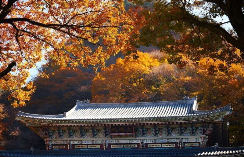 2025 Jeju Autumn Tour with Pink Muhly Festival - FAQ