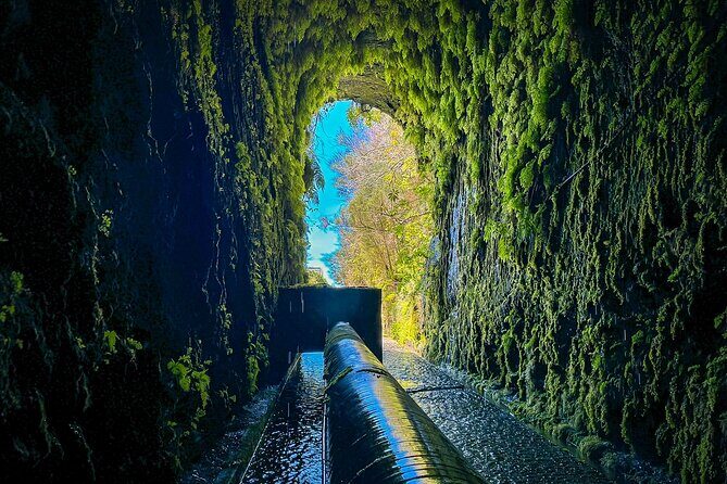 25 Fountains Levada: Hiking Tour in Madeira Rabaçal Valley (PR6) - Authentic Experiences Highlighted by Travelers