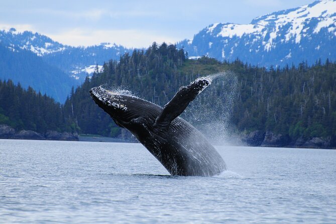 26 Glacier Cruise and Coach From Anchorage, AK - Meeting and Departure Information