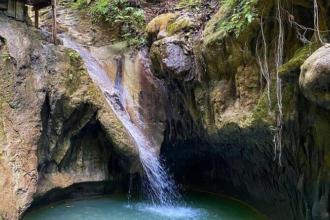 27 Waterfalls Adventure Private Tour in Charcos de Damajagua - Key Points