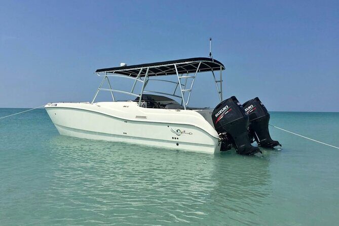 27ft Miami Catamaran for Groups and Parties - The Sum Up: Who Will Love This Experience?