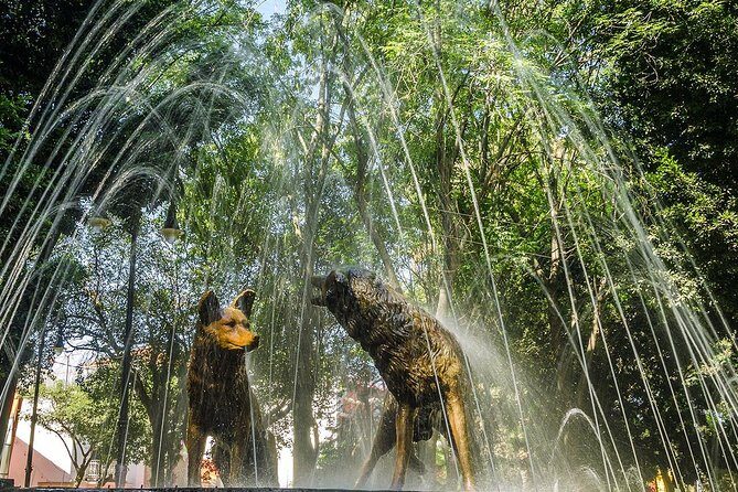 2D: Frida Kahlo Museo(No tiket)-Xochimilco & City CdMx & Pyramids - Key Points