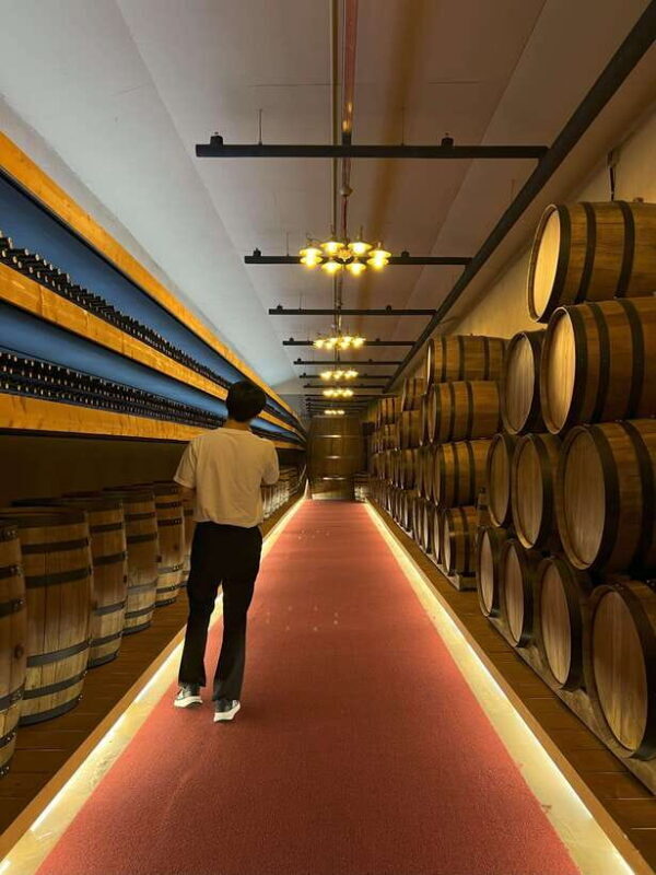 2D1N Chungbuk Experience Tour: Pungnyu Stay in Yeongdong - The Sum Up
