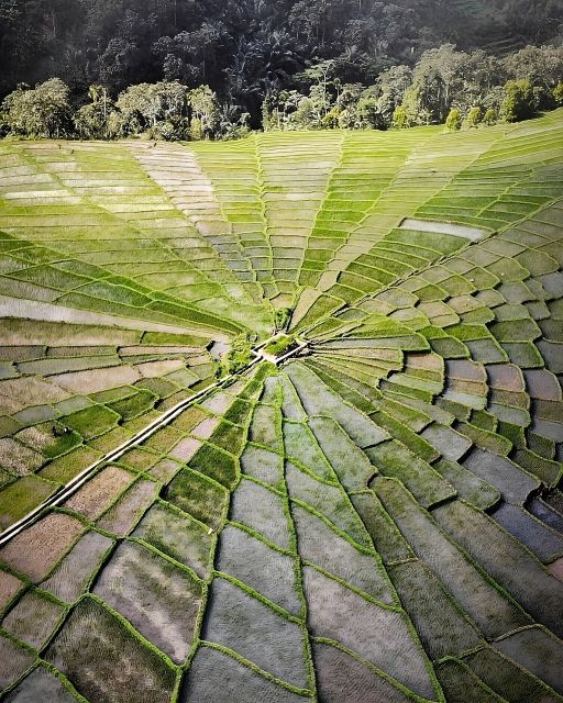 2D1N Exotic Waerebo Village Tour From Labuan Bajo - Cultural Activities and Overnight