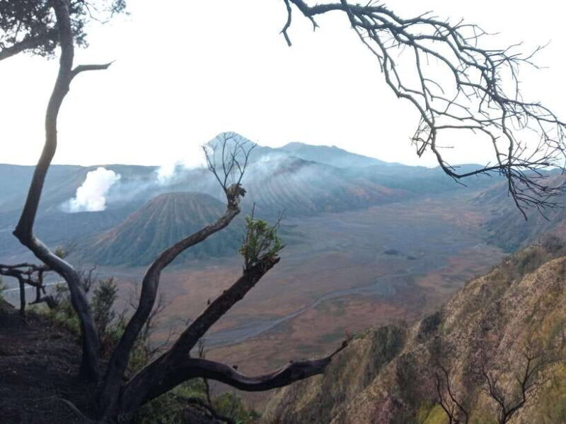 2Days1Nights Bromo midnight-Ijen crater drop Ketapang port - A Deep Dive into the Experience
