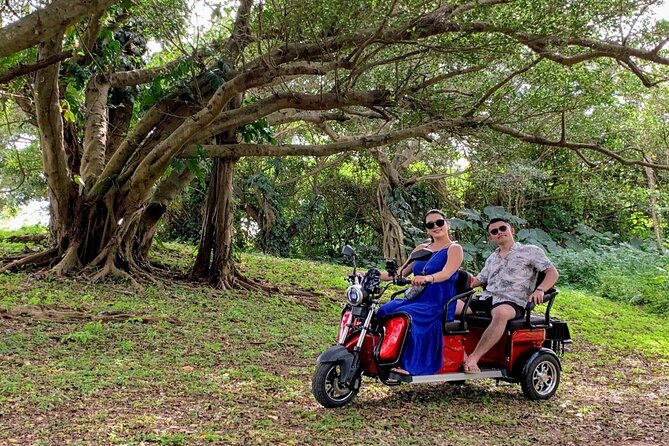 2h 3-Seater Electric Trike Rental (Ishigaki, Okinawa) - Additional Information