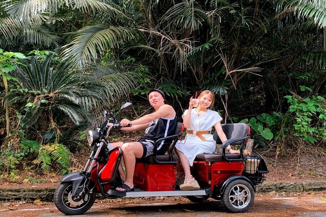 2h 3-Seater Electric Trike Rental (Ishigaki, Okinawa) - Exploring Ishigaki by Electric Trike