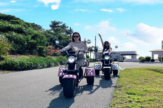 2h Electric Trike Rental in Okinawa Ishigaki - Provider Information