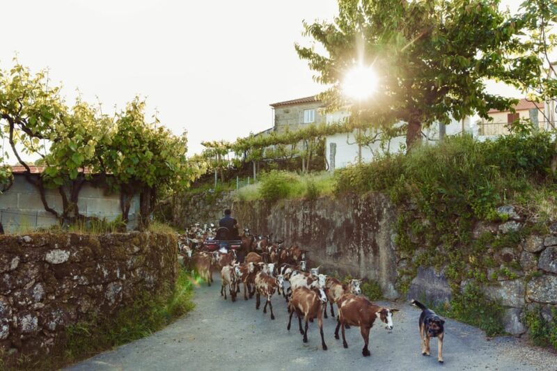 2h Quad Tour  Arcos de Valdevez  Peneda Gerês - FAQ