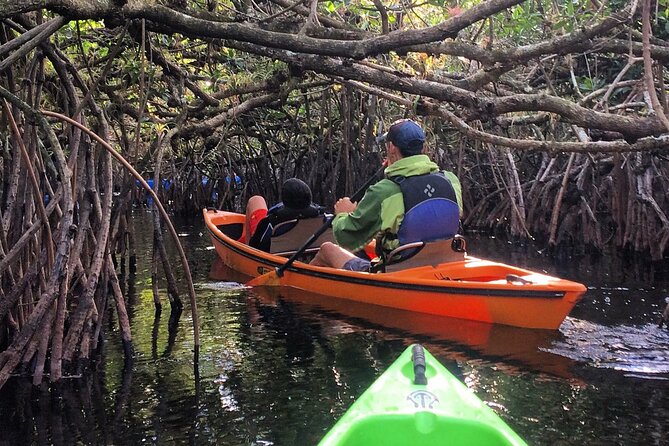 2Hour Everglades Kayak Safari Adventure Through Mangrove Tunnels - Experience Highlights