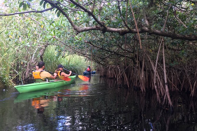 2Hour Everglades Kayak Safari Adventure Through Mangrove Tunnels - Health and Safety Information