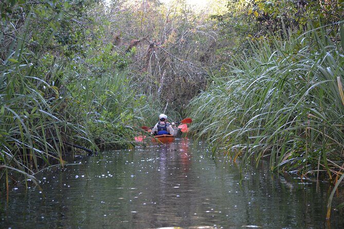 2Hour Everglades Kayak Safari Adventure Through Mangrove Tunnels - Preparing for the Adventure
