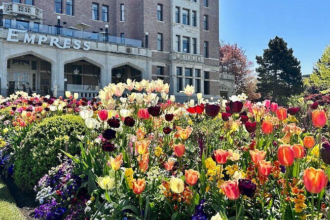 2hr City Highlights Private Tour in Victoria BC - What Travelers Say