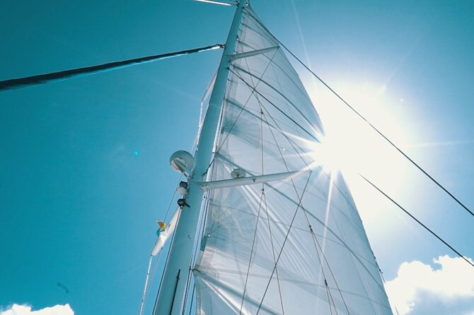 2hrs Dolphins Sunset Sailing Cruise With Drink - Customer Feedback Highlights