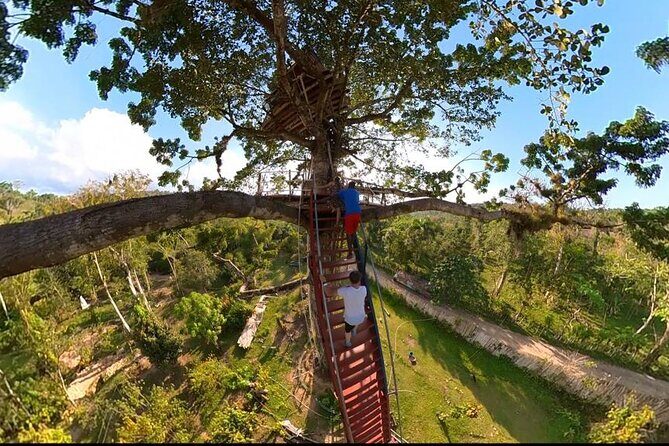 2in1: Los Haitises National Park + Yanigua Waterfall-SPA - Who Will Love This Tour?