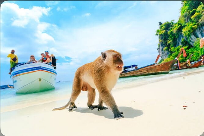 2x Snorkelling Phi Phi, Maiton, Maya Bay, Khai Islands Tour - Customer Reviews