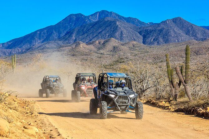 2x1 Combo UTV Side by Side Experience and Camel Ride in Los Cabos - FAQ