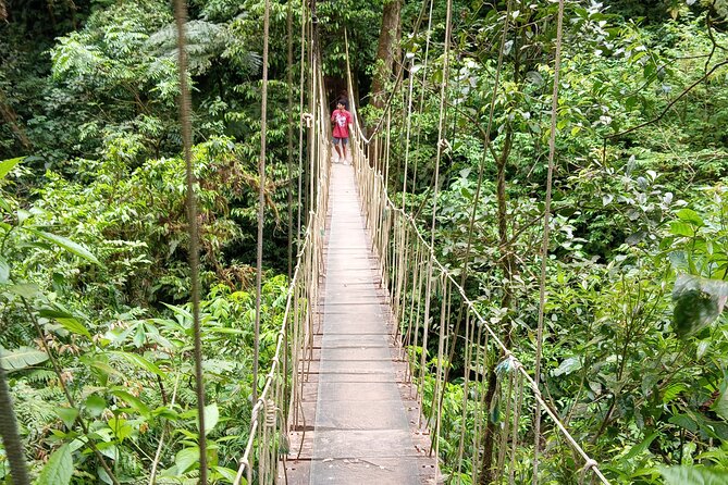 2x1 Guided Tour Combo Hanging Bridges and Night Walk - Good To Know