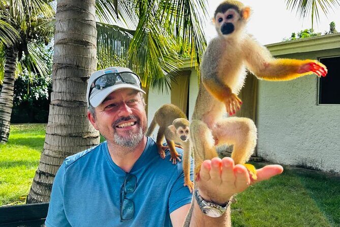 2X1: MonkeyLand plus horseback riding beach in Puerto Plata - An Introduction to Puerto Plata’s Unique Adventure
