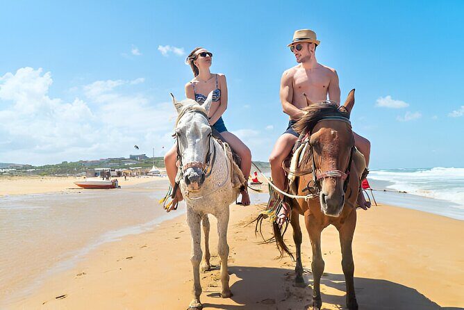 2X1: MonkeyLand plus horseback riding beach in Puerto Plata - The Sum Up: Who Will Love This Experience?