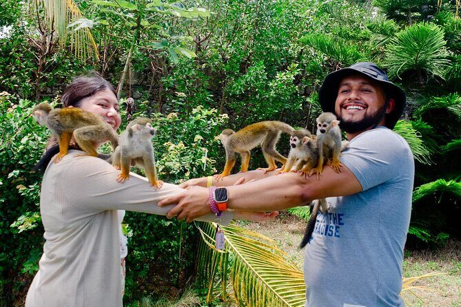 2x1: Monkeys Land Plus Drive a Dune Buggy in Puerto Plata - A Detailed Look at the Experience