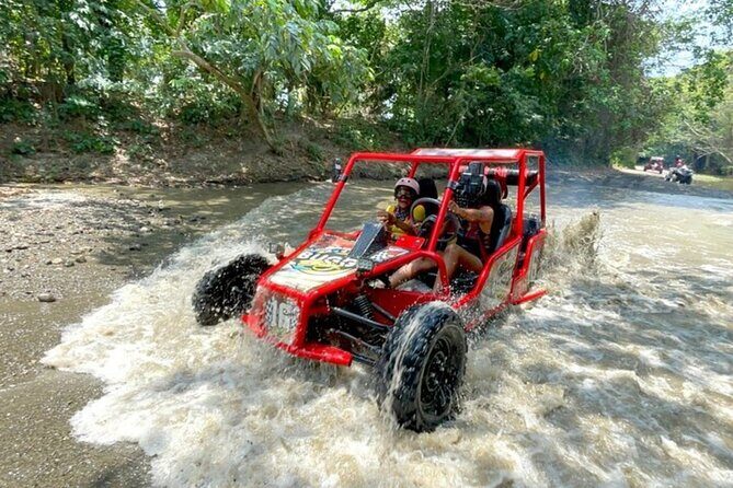 2x1: Monkeys Land Plus Drive a Dune Buggy in Puerto Plata - Final Verdict