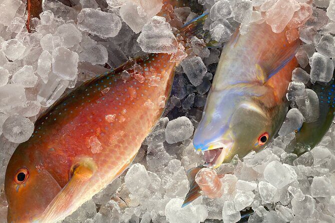 3/4 Day 7 Hour Offshore Fishing Charter - FAQ