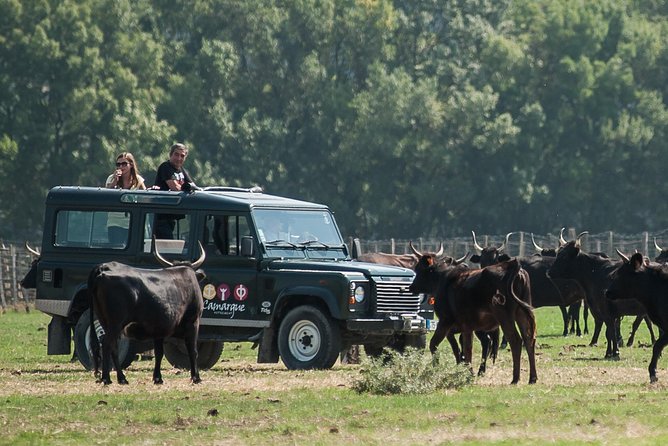 3.5 Hour Camargue 4x4 Safari From Le Grau-Du Roi - Meeting Point and Pickup Details