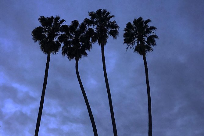 3.5 Hour Coastal Tour of Santa Monica, Venice Beach and Malibu - Meeting and Pickup Details