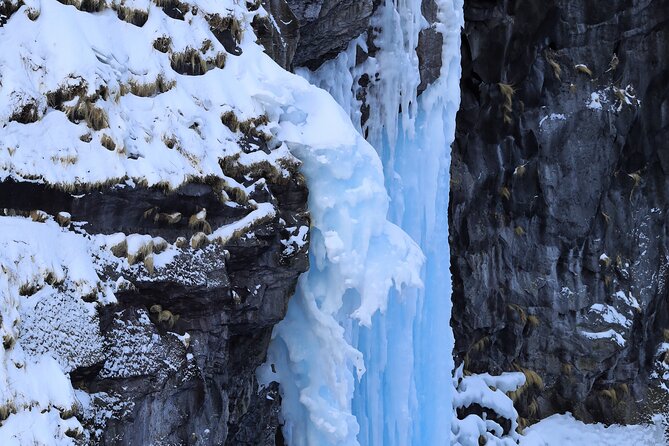 3.5hours Primeval Forest Snowshoe Hike and Wildlife Watching Tour - Preparing for the Snowshoe Hike