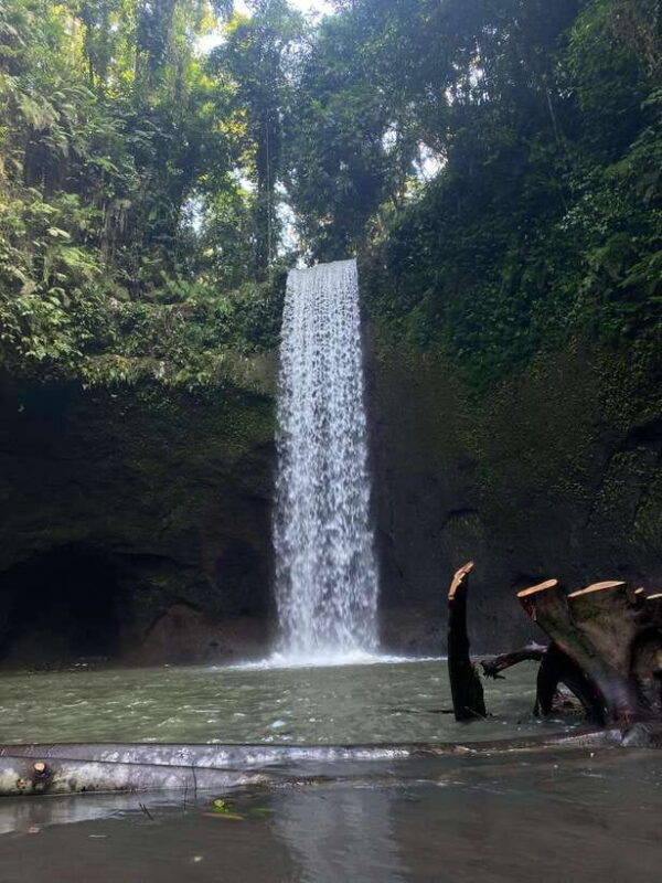 3 Best Watefalls, Temple and Rice terrace - An Introduction to the Tour