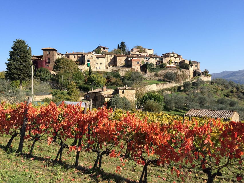 3 Chianti Wineries Private Tour from Florence or Siena - Key Points