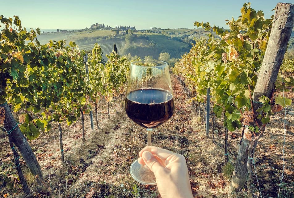 3 Chianti Wineries Private Tour from Florence or Siena - A Closer Look at the Tour Experience