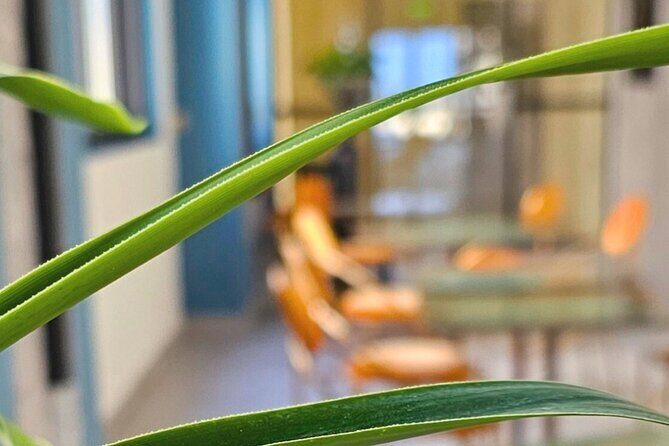 3 Course Caribbean Fine Dining - Dinner & City Tour at Night - Key Points