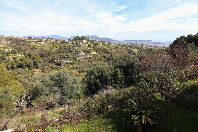 3-Course Organic Dinner in Garden with Views of French Riviera - The Drinking and Dining Experience