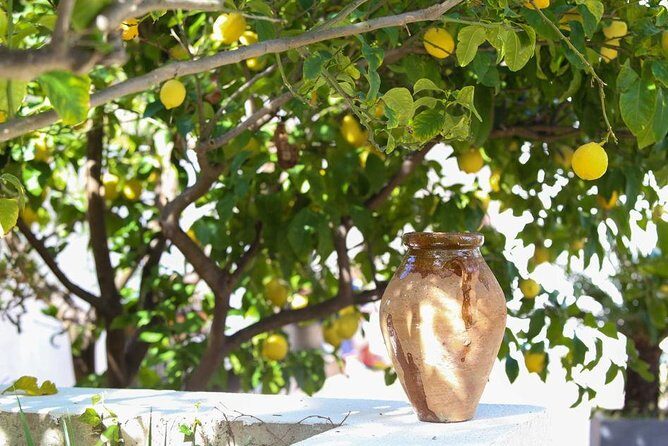 3-Course Organic Dinner in Garden with Views of French Riviera - Authenticity and Value