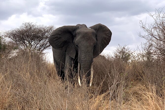 3-Day Adventure Camping Safari to Tarangire, Ngorongoro Crater, and Lake Manyara - Pickup Information