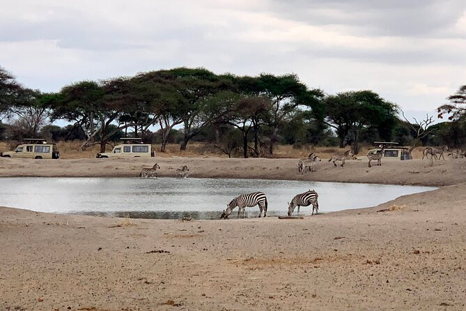 3-Day Adventure Camping Safari to Tarangire, Ngorongoro Crater, and Lake Manyara - Additional Information