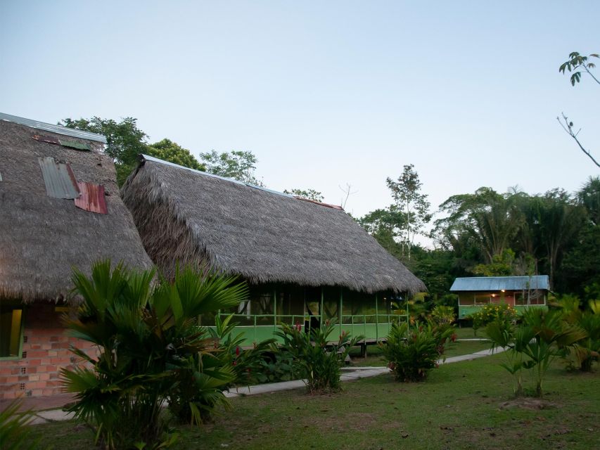 3-Day All Inclusive Guided Jungle Tour From Iquitos - Monkey Island Excursion